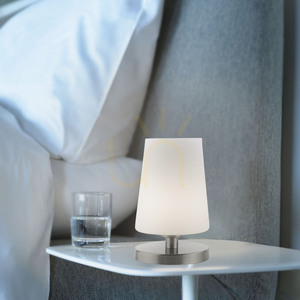Stolová lampa Paul Neuhaus Sonja 4146-55, G9 LED small 8