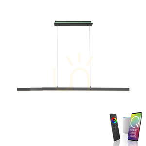 Závesné LED svietidlo Paul Neuhaus Q-ARIAN 2569-13, antracit, CCT RGB small 1