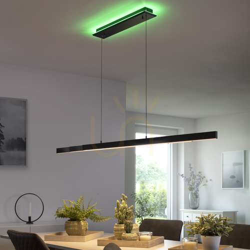 Skontrolujte Závesné LED svietidlo Paul Neuhaus Q-ARIAN 2569-13, antracit, CCT RGB