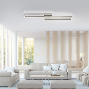 Plafond PAAN 6231-55 Silver 2xLED 9 Plafond PAAN 6231-55 Silver 2xLED small 9