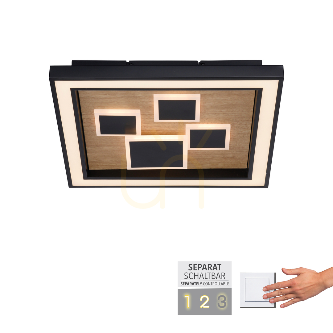 vyhliadka Plafón ELIZA 6283-79 Black 1xLED Plafón ELIZA 6283-79 Black 1xLED