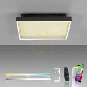 Plafón Q-MAGONG 6316-18 Black 1xLED 13 Plafón Q-MAGONG 6316-18 Black 1xLED small 13