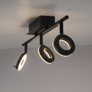 Stropné svietidlo Paul Neuhaus Sileda 6785-13 antracitové 3xLED small 9