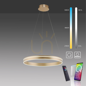LED závesné svietidlo Paul Neuhaus Q-VITO 8411-60, matná mosadz, Ø 59 cm 10 LED závesné svietidlo Paul Neuhaus Q-VITO 8411-60, matná mosadz, Ø 59 cm small 10