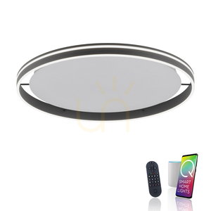Stropné LED svietidlo Paul Neuhaus Q-VITO 8418-13 antracitové Ø 79,4 cm small 1