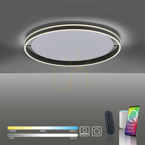 Stropné LED svietidlo Paul Neuhaus Q-VITO 8418-13 antracitové Ø 79,4 cm small 10
