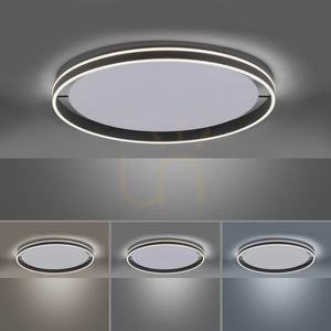 Stropné LED svietidlo Paul Neuhaus Q-VITO 8418-13 antracitové Ø 79,4 cm small 4