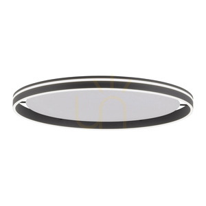 Stropné LED svietidlo Paul Neuhaus Q-VITO 8418-13 antracitové Ø 79,4 cm small 6
