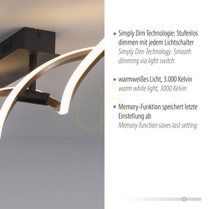 POLINA Plafond 9143-18 Black 2xLED small 3