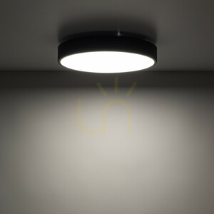 Stropné svietidlo Velis Black 24 W LED, IP54 small 2