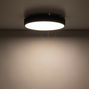 Stropné svietidlo Velis Black 24 W LED, IP54 small 4