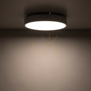 Stropné svietidlo Velis Chrome 24 W LED, IP54 small 4
