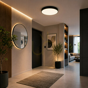 Stropné LED svietidlo Velis Black 30 W, IP54 small 1