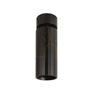 Stropné svietidlo GFA1681C v čiernej farbe od Gea Luce small 0