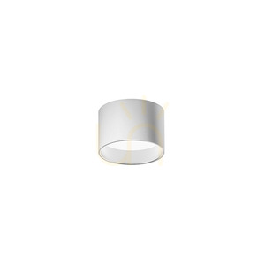 Biele stropné svietidlo GPL330H od Gea Luce small 0