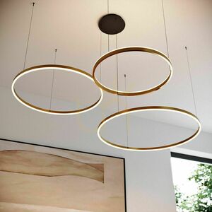 LED krúžkové závesné svietidlo s.luce Ring strieborné Ø 80 cm 8 LED krúžkové závesné svietidlo s.luce Ring strieborné Ø 80 cm small 8