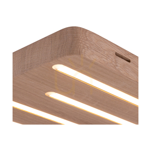 Stropné svietidlo / nástenná lampa Neele, olejovaný dub, 5xLED, 19,5 W, 34 cm 3 Stropné svietidlo / nástenná lampa Neele, olejovaný dub, 5xLED, 19,5 W, 34 cm small 3