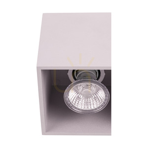 Stropné svietidlo Nicold, 1xGU10, Max. 35 W, strieborná, 10 cm small 3