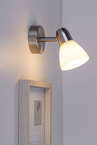 Nástenná svietidlo Alga 1xE14 Max. 40 W, saténová/biela, 16,5 cm small 3