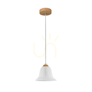 Závesné svietidlo Anna, 1xE27, Max. 60 W, olejovaný dub / priehľadný PVC kábel / biele sklenené tienidlo, Ø 17,5 cm small 0