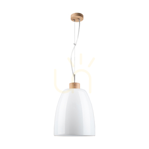 Závesné svietidlo Campana, 1xE27, Max. 60 W, olejovaný dub / priehľadný PVC kábel / biele sklenené tienidlo, Ø 30 cm small 0