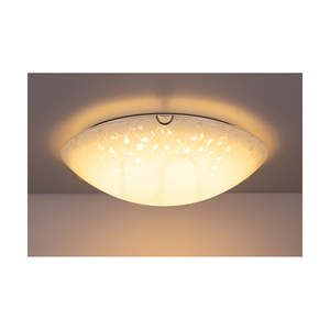 Stropné svietidlo Flora, obsahuje 1x LED 2700 K 18 W, chrómový kov/biely sklenený tienidlo, Ø 40 cm small 4
