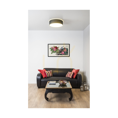 Skontrolujte LED stropné svietidlo Spot Light Josefina 4783802 antracitové/biele Ø38 cm 18 W 2700 K