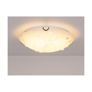 Stropné svietidlo Maryland, 1xLED, 2700 K, 30 W, chrómový kov/biely sklenený tienidlo, Ø 50 cm small 4