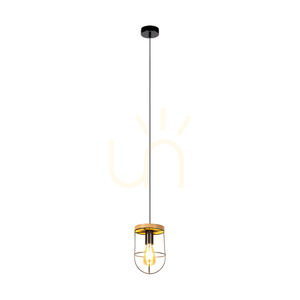 Závesné svietidlo Netuno 1xE27 Max. 60 W, olejovaný dub / čierny kov / čierny PVC kábel, Ø 15 cm small 1