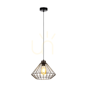 Závesné svietidlo Raquelle, 1xE27, Max. 60 W, čierny kov / čierny PVC kábel / čierny kovový tienidlo, Ø 30 cm small 1