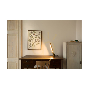 Stolná lampa Rapid, 1xLED, 3000 K, 4,5 W, olejovaný dub/čierny kov/čierny PVC kábel (23 cm) small 3