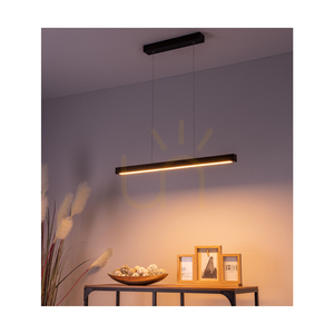 Malé závesné svietidlo 2xLED 3000K 22,5 W, bukové a orechové drevo / priehľadný PVC kábel s dotykovým stmievačom, 80 cm small 3