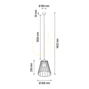 Závesné svietidlo Swan, 1xE27, Max. 60 W, čierny kov / čierny PVC kábel / čierny kovový tienidlo, Ø 30 cm small 2