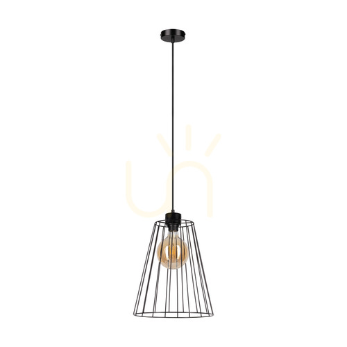 Skontrolujte Závesné svietidlo Swan, 1xE27, Max. 60 W, čierny kov / čierny PVC kábel / čierny kovový tienidlo, Ø 30 cm