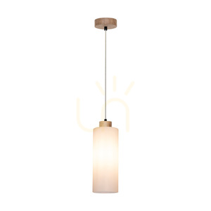 Zavesené svietidlo Zefir, 1xE27, Max. 60 W, olejovaný dub / priehľadný PVC kábel / biele sklenené tienidlo, Ø 12 cm small 1