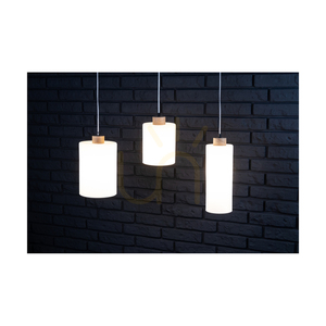 Zavesené svietidlo Zefir, 1xE27, Max. 60 W, olejovaný dub / priehľadný PVC kábel / biele sklenené tienidlo, Ø 12 cm small 3