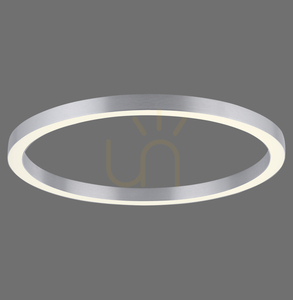 Stropné svietidlo PURE-LINES 6306-95, strieborné, 1xLED small 12