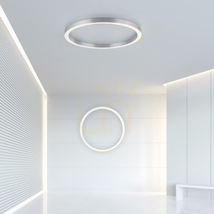 Stropné svietidlo PURE-LINES 6306-95, strieborné, 1xLED small 2