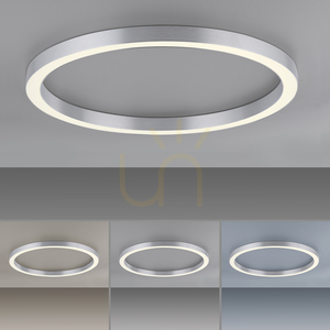 Stropné svietidlo PURE-LINES 6306-95, strieborné, 1xLED small 5