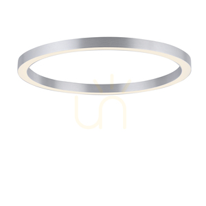 Stropné svietidlo PURE-LINES 6306-95, strieborné, 1xLED small 7
