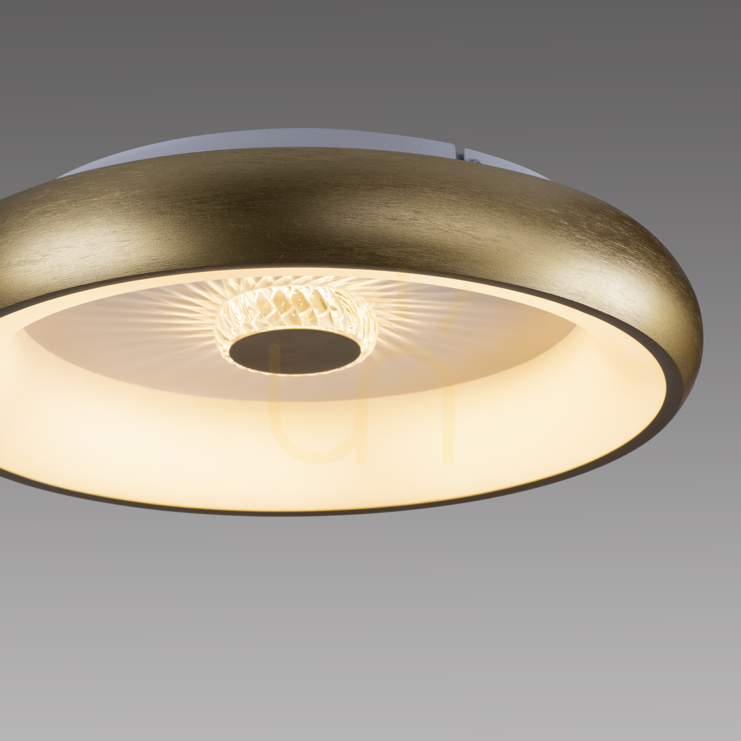 Šou VERTIGO 14384-60 Mosadzné stropné svietidlo, 1xLED VERTIGO 14384-60 Mosadzné stropné svietidlo, 1xLED