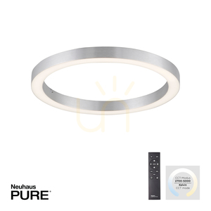 Stropné svietidlo PURE-LINES 6309-95, strieborné, 1xLED small 1