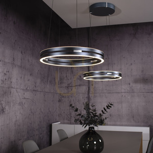 PURE E-LOOP 2550-15 Šedé závesné svietidlo s 2 LED diódami small 16