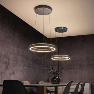 PURE E-LOOP 2550-15 Šedé závesné svietidlo s 2 LED diódami small 19