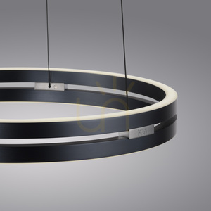 PURE E-LOOP 2550-15 Šedé závesné svietidlo s 2 LED diódami small 21
