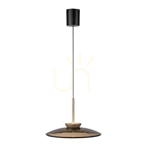 PURE E-MOON 2195-97 Hnedé závesné svietidlo s 2 LED žiarovkami small 7