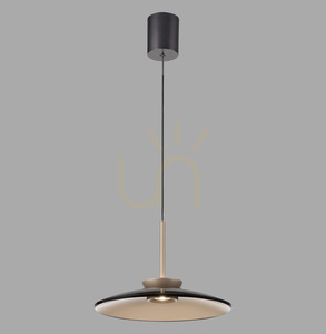 PURE E-MOON 2195-97 Hnedé závesné svietidlo s 2 LED žiarovkami small 0