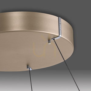 PURE E-LOOP 2550-60 Mosadzné závesné svietidlo s 2 LED diódami small 10