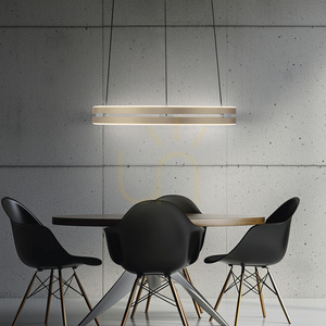 PURE E-LOOP 2550-60 Mosadzné závesné svietidlo s 2 LED diódami small 14