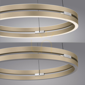 PURE E-LOOP 2550-60 Mosadzné závesné svietidlo s 2 LED diódami small 15